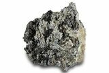 Glittering Sphalerite On Galena - Pine Point Mine, Canada #261954-1